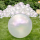 Large Holiball® Bubble (2 week lead time)